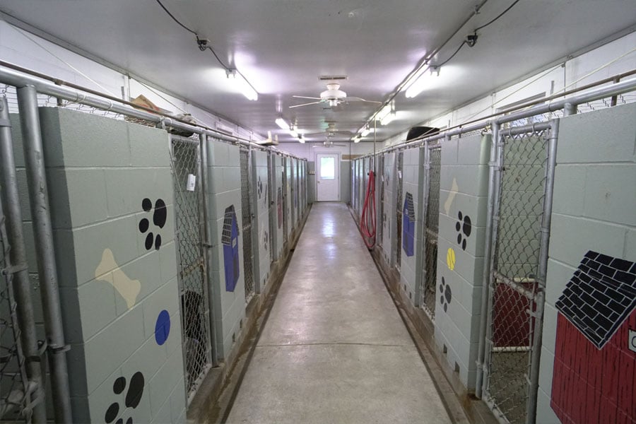Gallery Pet Boarding & Training Facility in St. Charles, MO